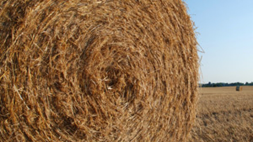 Predavanja o višestrukoj sukladnosti