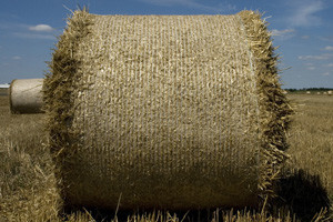 Uspješno završena informativna kampanja o AGRONET-u i IPARD-u