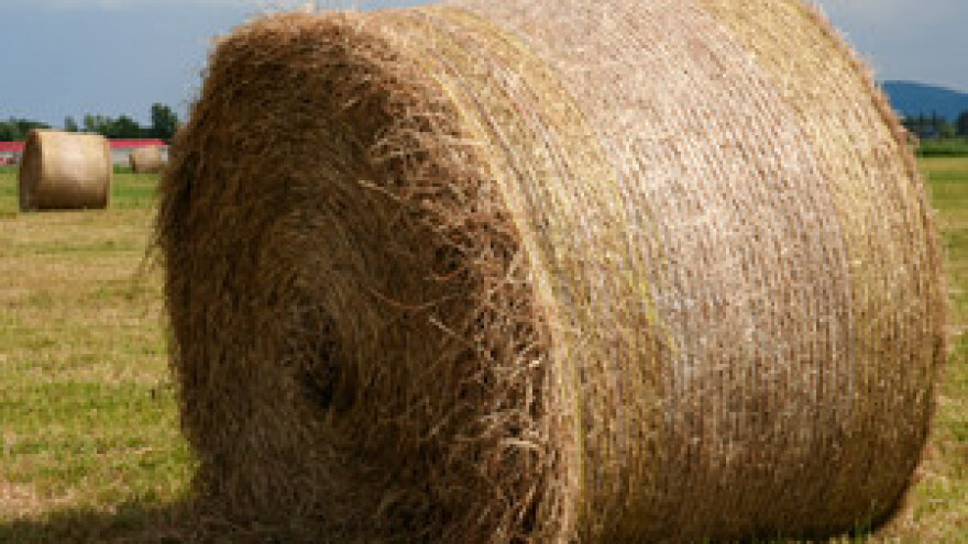 Žele uvjete europskog poljoprivrednika