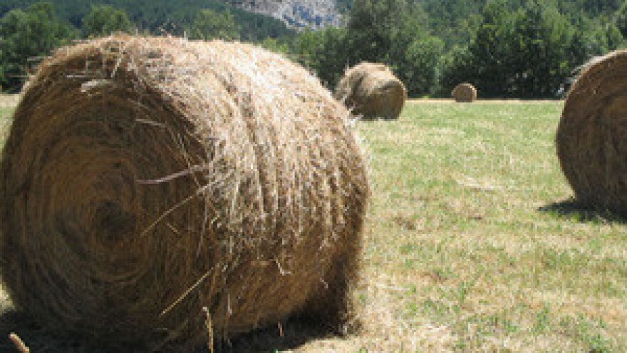 Nova pravila o potporama za ulaganja u poljoprivredi