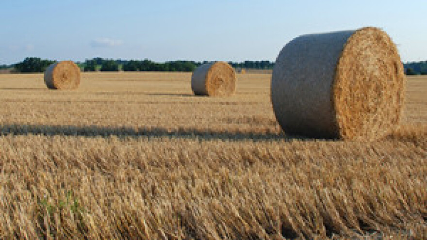 Država poljoprivrednicima uskraćuje informacije o EU