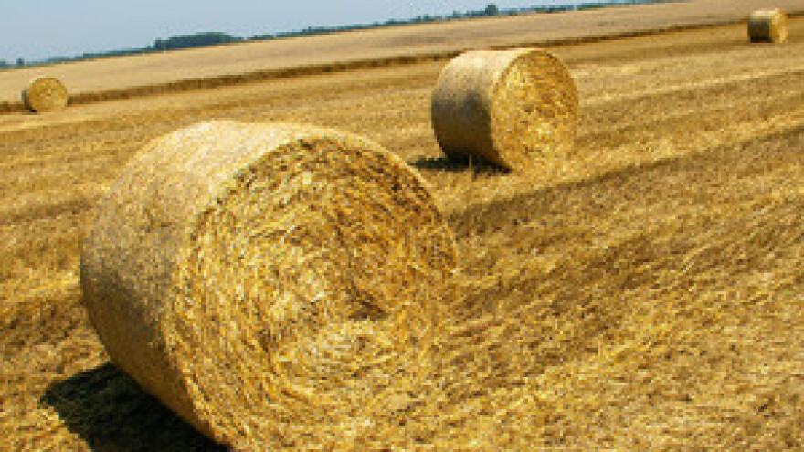 Poljoprivrednici iz BiH deblokirali granične prijelaze