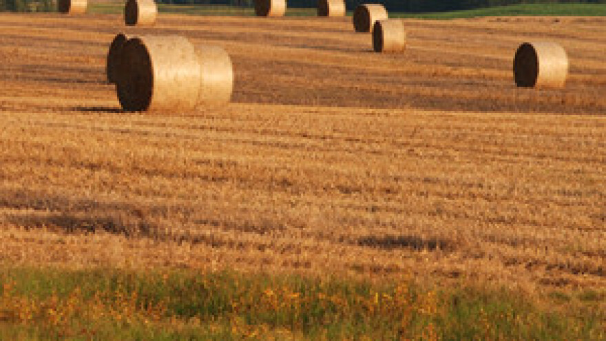 Radovi na oranicama nakon žetve uljane repice i strnih žitarica