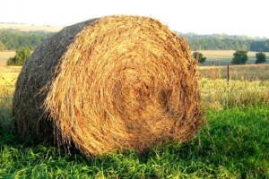 Državni tajnik Stjepan Mikolčić na 18. AgroBalt-u