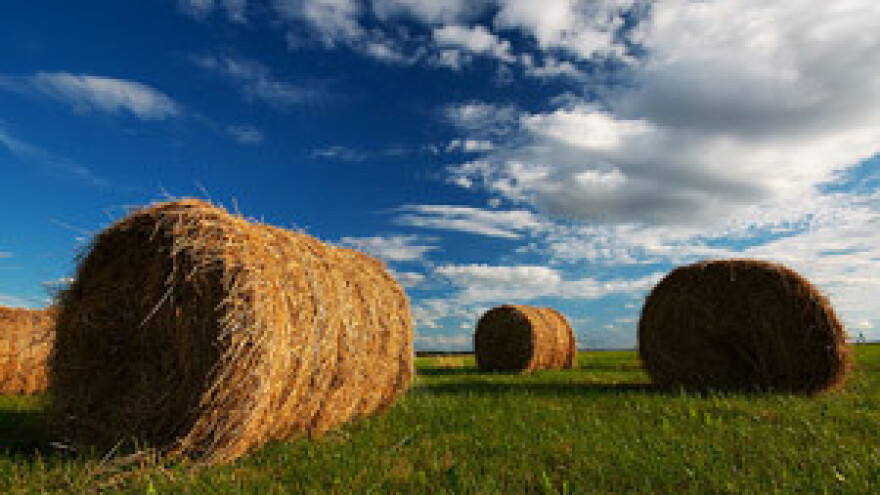 Čobanković isplatu poticaja ostavlja sljedećoj vladi