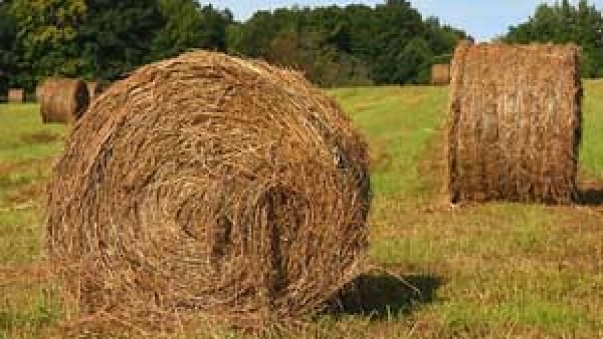 Isplatite poljoprivrednicima potporu i naknadu za štete