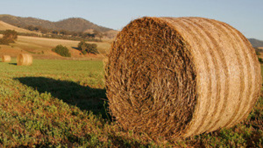 Sve bolji rezultati IPARD-a