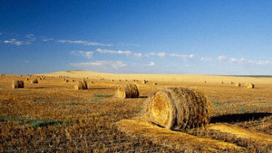 Čobanković: Već od prve godine članstva puni poticaji