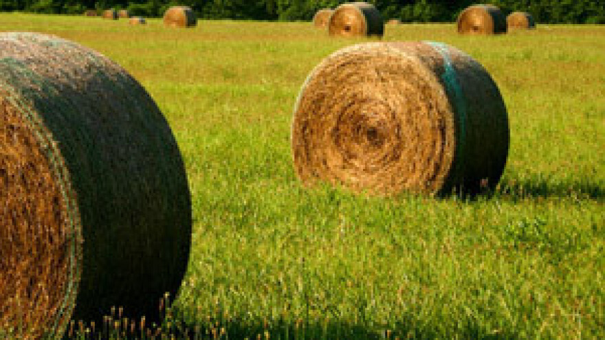 Počinje sajam "Interagro 2011"