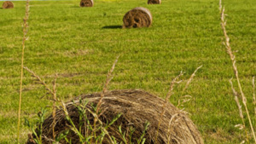 Potrebno veće okrupnjivanje posjeda