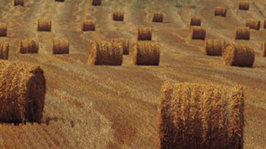 EU mladim poljoprivrednicima pomaže dotacijama