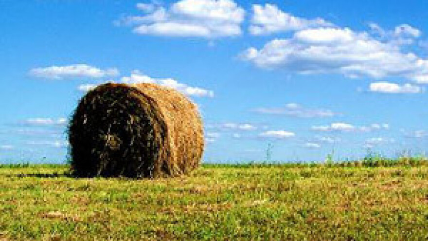 Državni poticaji samo za poljoprivrednu proizvodnju