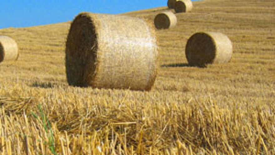 Isplaćene zaostale potpore u poljoprivredi iz 2011. godine