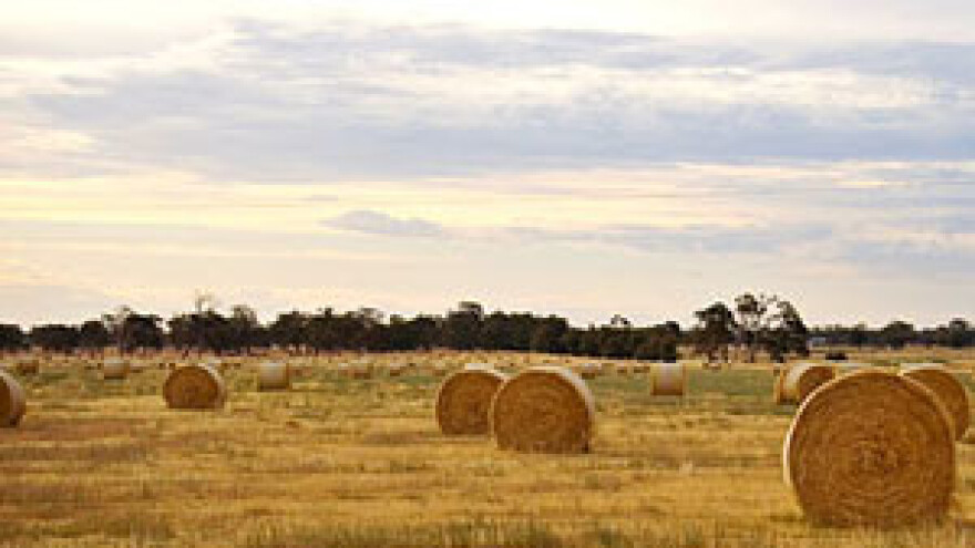 Mlinarić: Poljoprivrednu komoru žele ugasiti novopečeni SDP-ovci