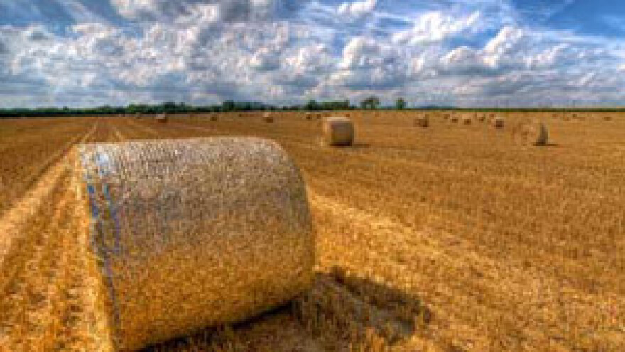 Jakovina: Iz Čobankovićeva ormara ispada hrpa kostura