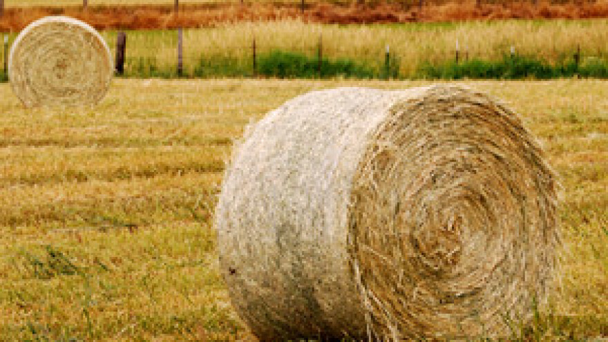 Vlada ukinula plaćanje doprinosa Poljoprivrednoj komori