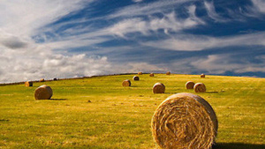 Bogdanović: Vlada krši zakon o poljoprivrednoj komori