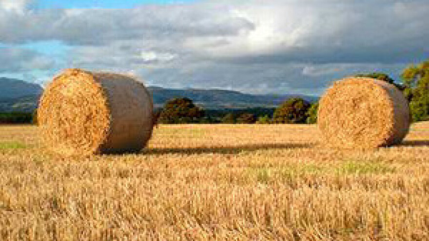 Dacian Ciolos u posjetu Hrvatskoj