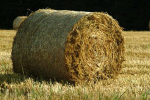 Iz EU-ovih fondova u pet godina povukli smo samo 21 posto sredstava