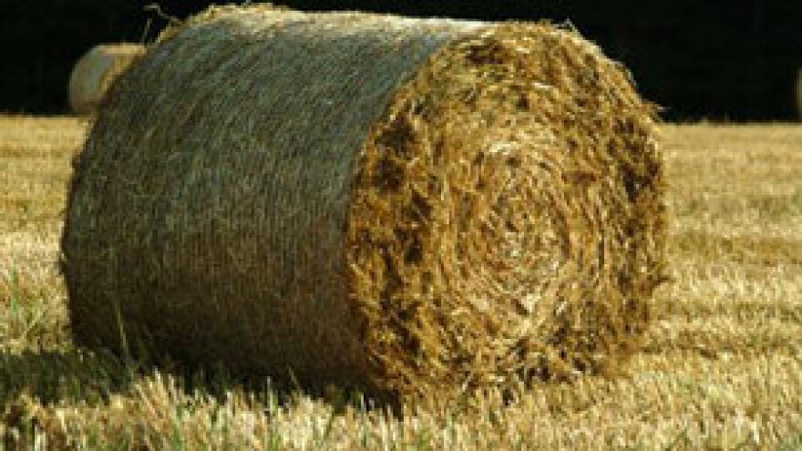 Iz EU-ovih fondova u pet godina povukli smo samo 21 posto sredstava