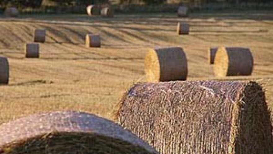 Objavljen Zakon o poljoprivrednoj savjetodavnoj službi