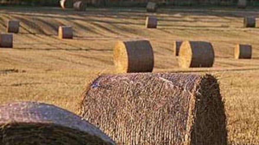 U IPARD-u je isplaćeno samo 3% sredstava