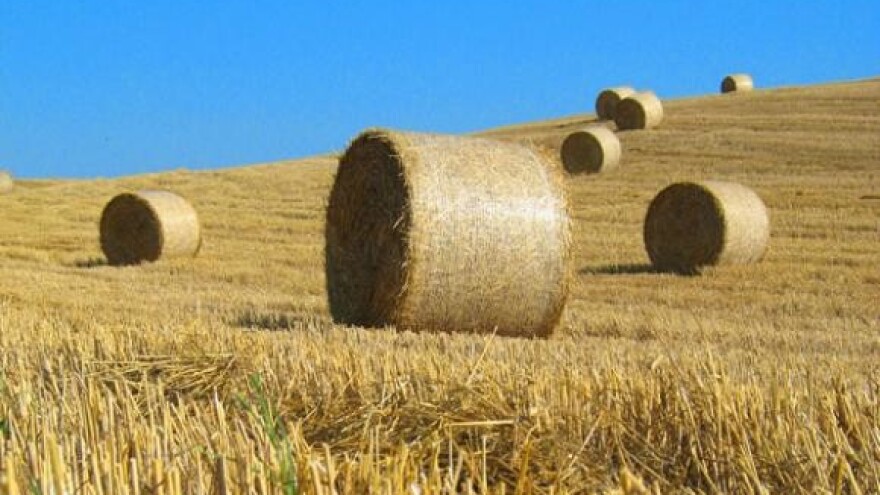 Slavonsko-baranjsko natjecanje u spremanju sjenaže u rol bale