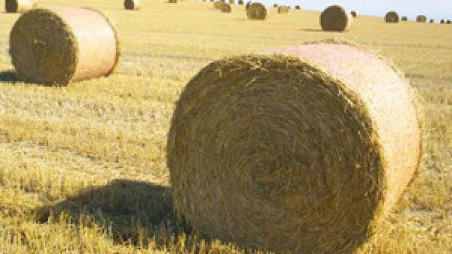 Ministar poljoprivrede o isplati potpora