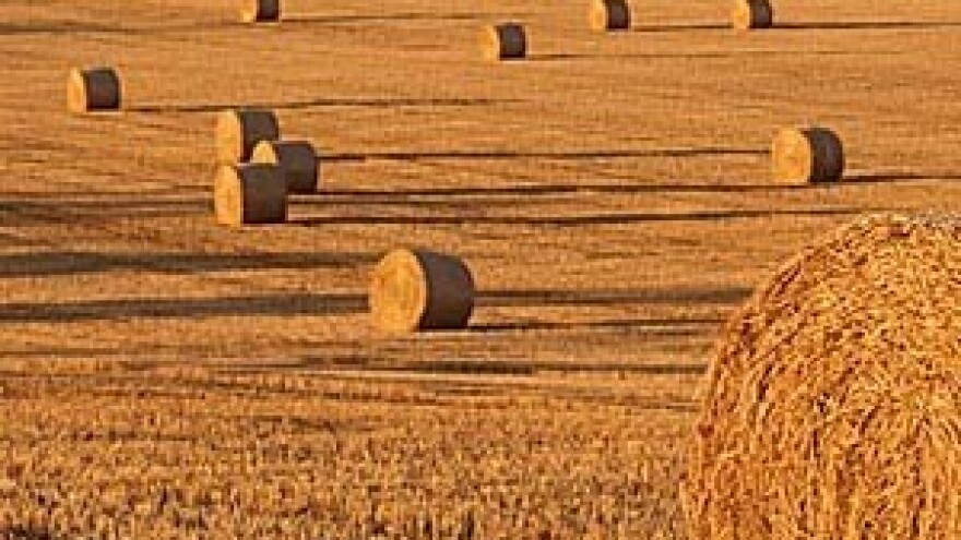 8. Natječaj za dodjelu sredstava IPARD programa