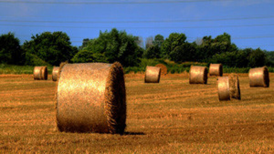 Trošimo EU novac za pripremu zajedničke poljoprivredne politike