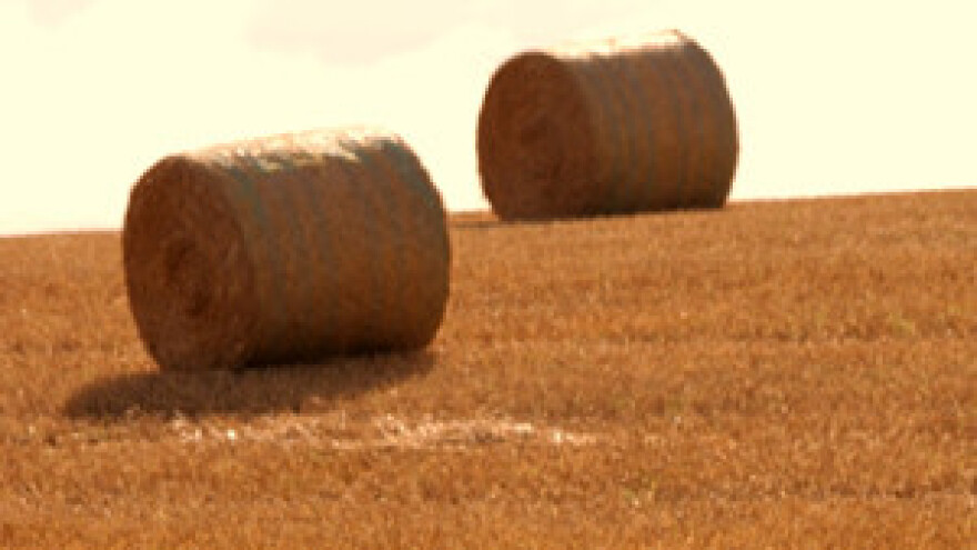 Poljoprivrednike pravilnicima usmjeriti, a ne sputati