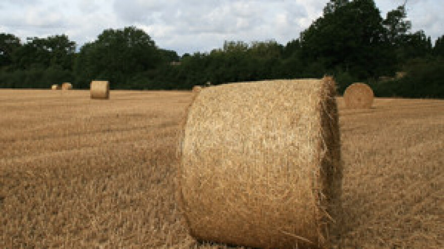 Vlada pogoduje krupnom kapitalu i ostavlja selo bez poljoprivrednika