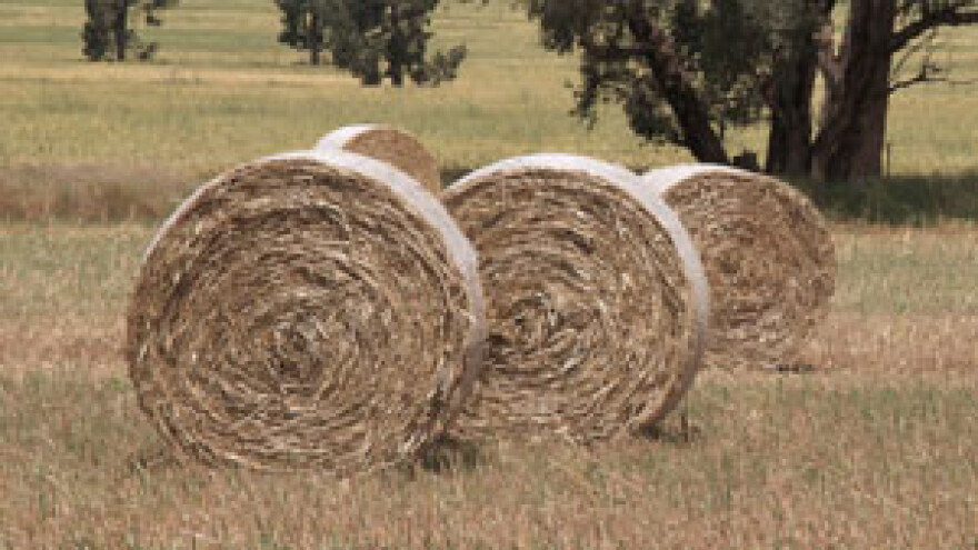 Poreznica krala novac od povrata poreza poljoprivrednicima