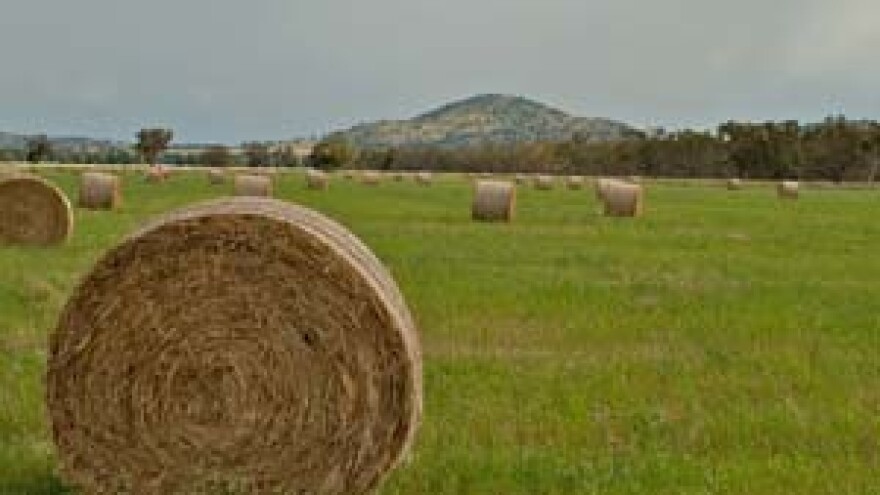 Intervju s Vesnom Gantner pomoćnicom ministra Jakovine