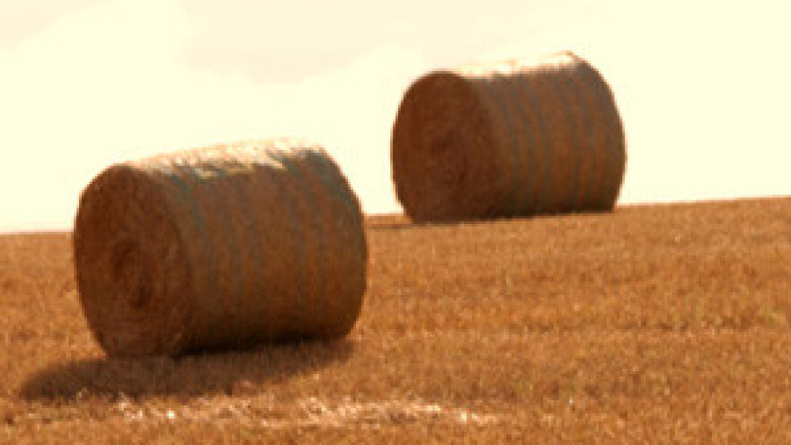 U slijedeća tri tjedna isplata 400 milijuna kuna zaostalih poticaja