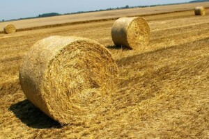 Održano natjecanje spremanja sjenaže u rol-bale