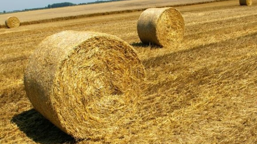 Održano natjecanje spremanja sjenaže u rol-bale