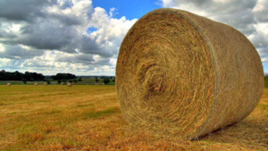 Pošto hektar Hrvatske?