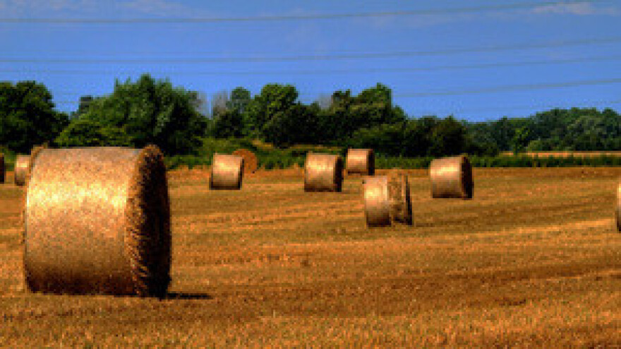 Nezadovoljnici iznos poticaja mogu provjeriti u Agenciji za plaćanje