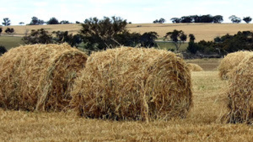 Zapuštena polja darujte zainteresiranim braniteljima