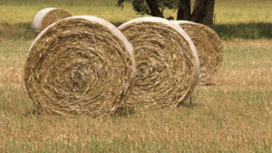 Zemlja je bogatija što je manji postotak njenih stanovnika zaposlen u poljoprivredi