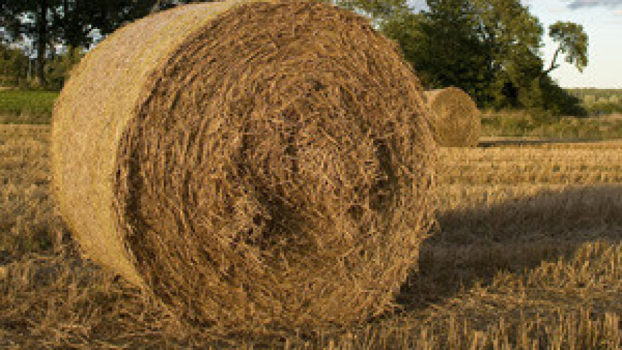 Rasprava u Hrvatskom saboru o poljoprivrednim zakonima