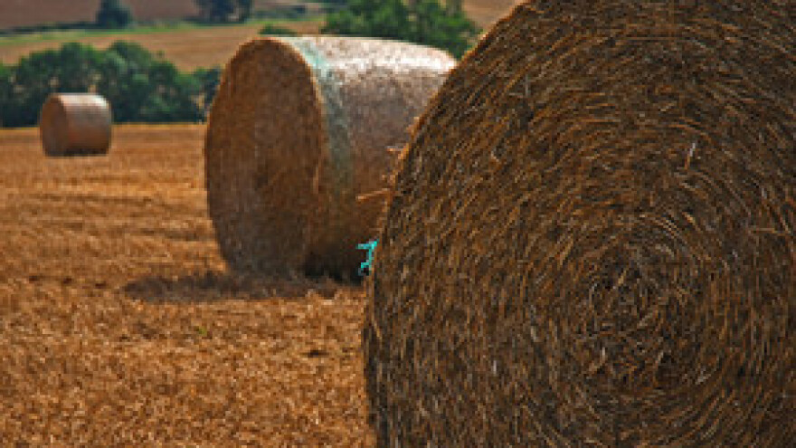 Ako Vlada ne provede reforme, poljoprivrednici bi mogli ostati bez poticaja