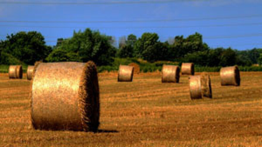 Prvi put poljoprivreda nije strateška grana