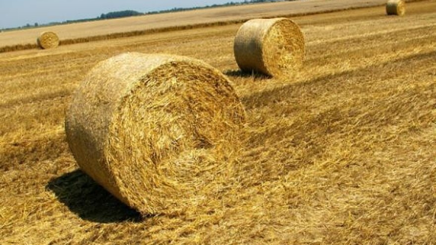 Povoljniji uvjeti za reprogram kredita