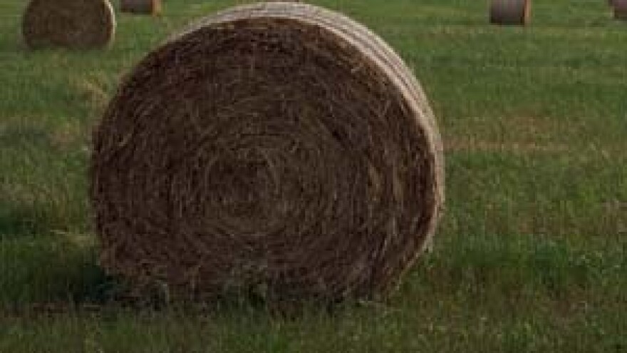 Akreditacija Agenciji za plaćanja