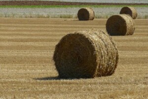 Ulaskom u EU mogli bi ostati bez poticaja