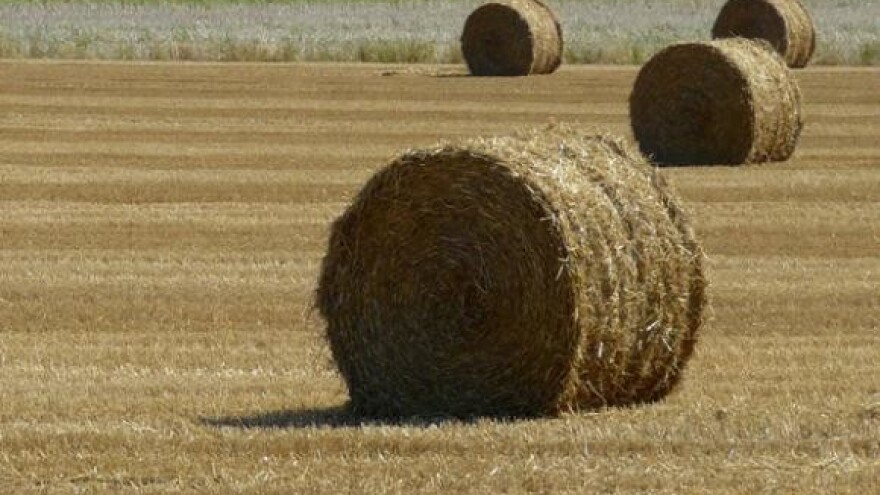 Ulaskom u EU mogli bi ostati bez poticaja