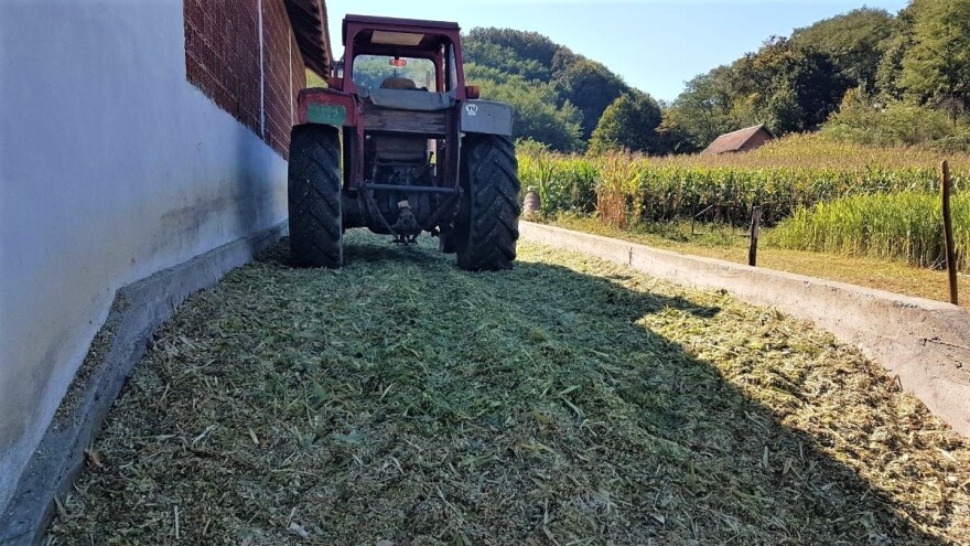 Kako spremati silažu -  fermentacijom ili uz dodatak inokulanata?