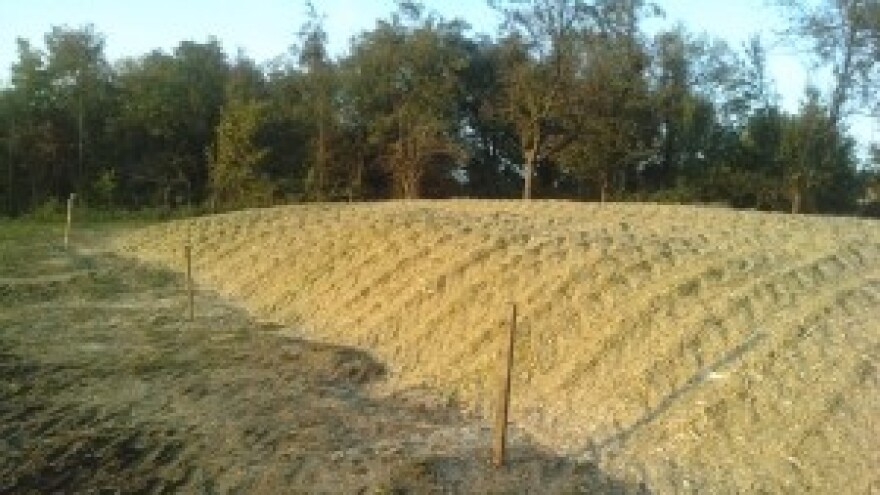 Syngentin silažni pokus - više od očekivanja!